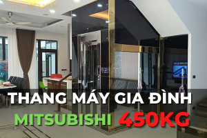 thang máy gia đình Mitsubishi 450kg