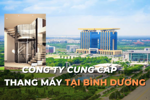 công ty lắp thang máy tại bình dương
