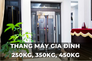 thang máy gia đình 250kg, 300kg, 350kg, 450kg 1
