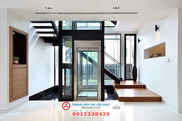 thang máy liên doanh 1