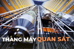 thang máy quan sát là gì