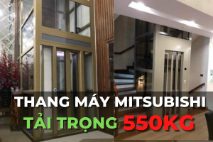 thang máy tải trọng 550kg