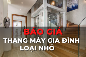 báo giá thang máy gia đình mini loại nhỏ