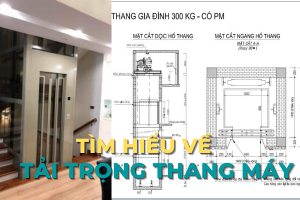 tải trọng thang máy gia đình