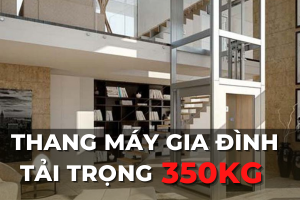 thang máy gia đình 350kg