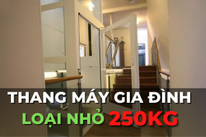 thang máy gia đình tải trọng nhỏ 250kg 300kg